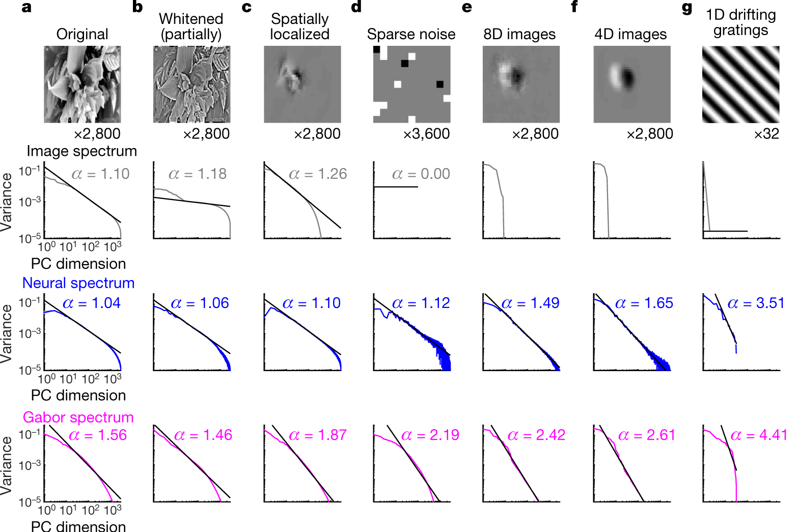 neural activity reconstructed from subsets of principal components, and sorted by rastermap