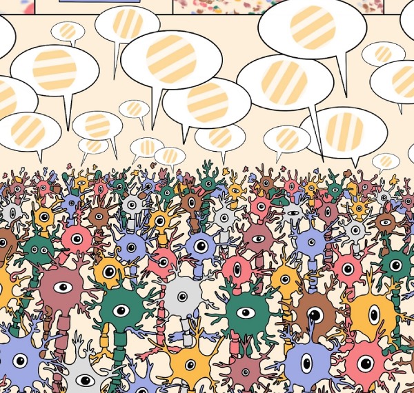 highly precise encoding of visual stimuli