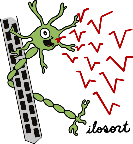 spikes colored by amplitude along probe